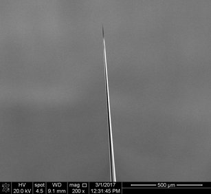 REM image of glass nanopipette